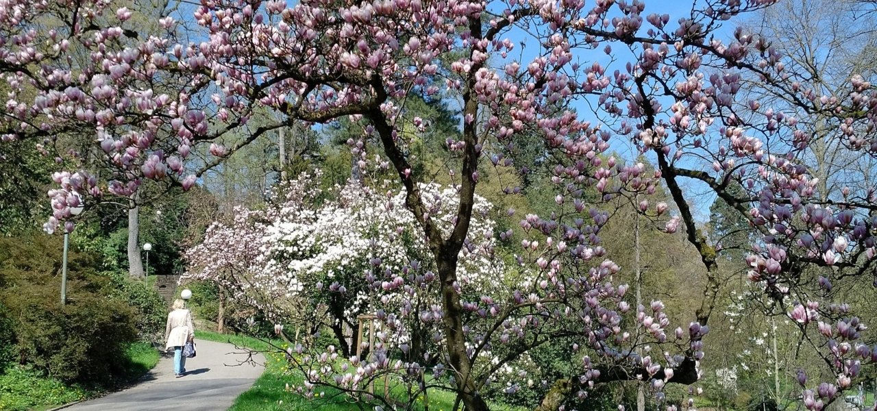 Stroll in Baden-Baden